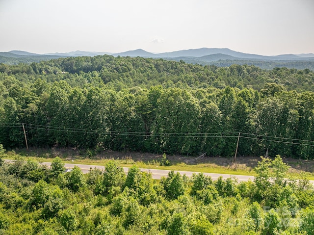 00 Boy Scout Rd, Rutherfordton, NC 28139