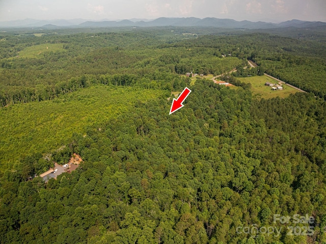 00 Boy Scout Rd, Rutherfordton, NC 28139