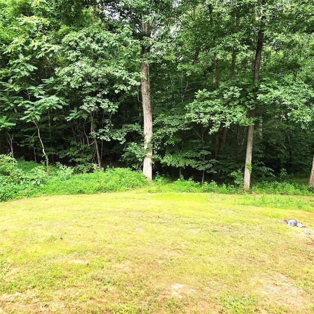 105 Damron Ln Unit 20, Harmony, NC 28634 - view of green lawn