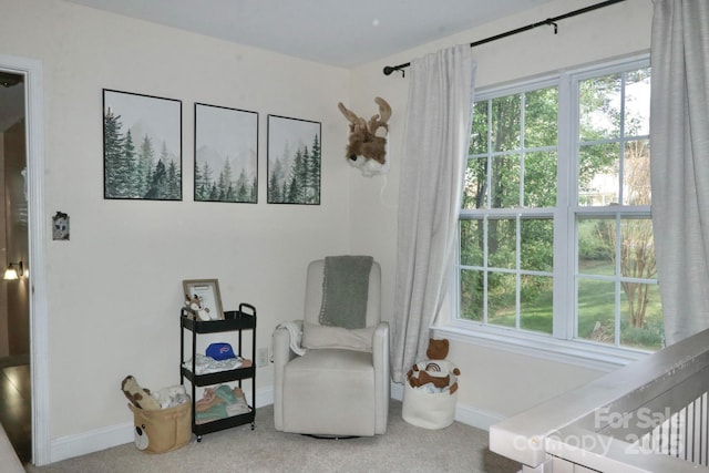 111 Painted Bunting Dr, Troutman, NC 28166 - sitting room with baseboards and carpet