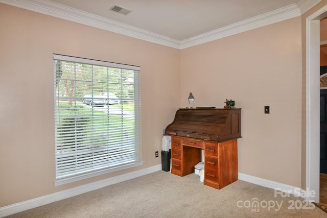 111 Painted Bunting Dr, Troutman, NC 28166 - unfurnished office with ornamental molding and carpet