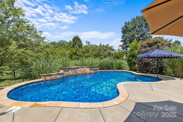 125 Snow Fountain Ln, Mooresville, NC 28115 - outdoor pool with a patio