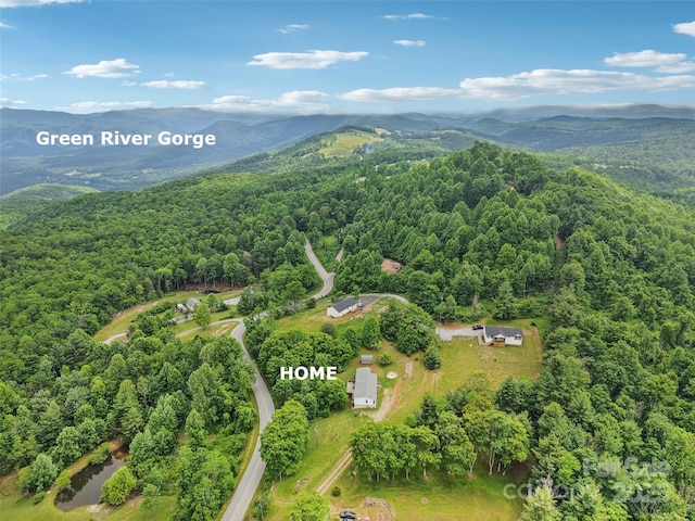 1282 Spicer Cove Rd, Hendersonville, NC 28792 - photo 3