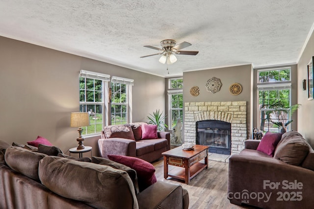 1282 Spicer Cove Rd, Hendersonville, NC 28792 - photo 4