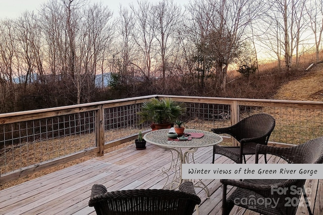 1282 Spicer Cove Rd, Hendersonville, NC 28792 - photo 26