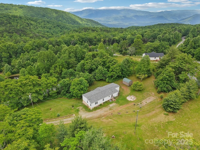 1282 Spicer Cove Rd, Hendersonville, NC 28792 - photo 39