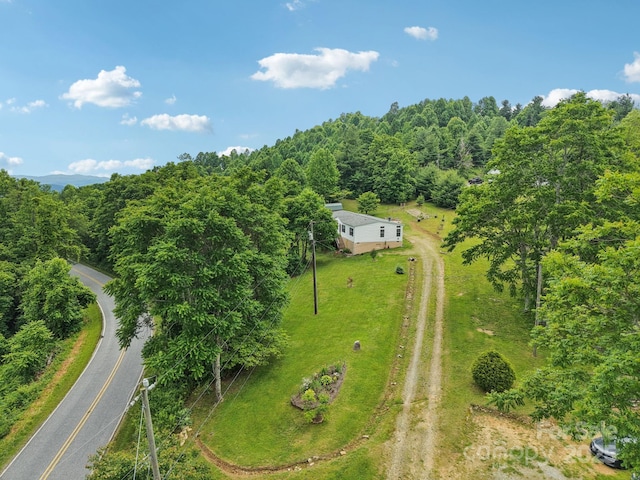 1282 Spicer Cove Rd, Hendersonville, NC 28792 - photo 40