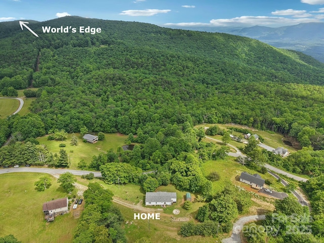 1282 Spicer Cove Rd, Hendersonville, NC 28792 - photo 38