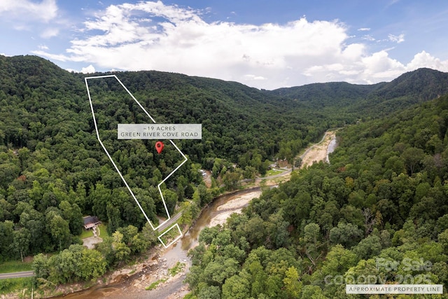 000 Green River Cove Rd, Saluda, NC 28773 - photo 1