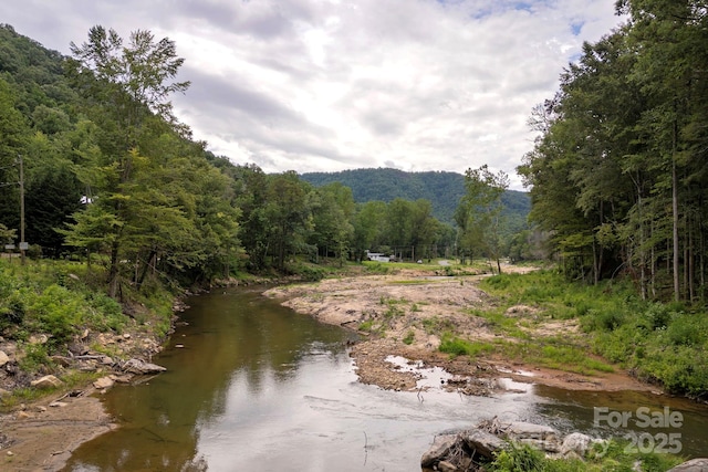 000 Green River Cove Rd, Saluda, NC 28773 - photo 2