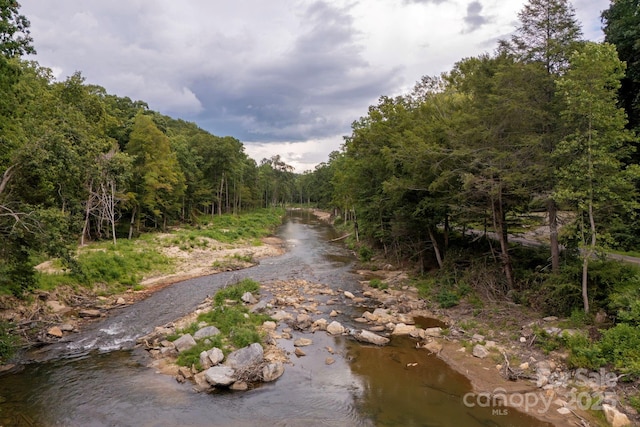 000 Green River Cove Rd, Saluda, NC 28773 - photo 20