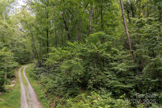 000 Green River Cove Rd, Saluda, NC 28773 - photo 21