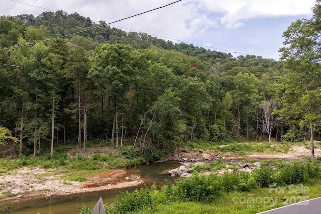 000 Green River Cove Rd, Saluda, NC 28773 - photo 22