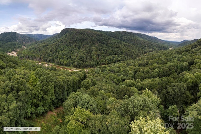 000 Green River Cove Rd, Saluda, NC 28773 - photo 3