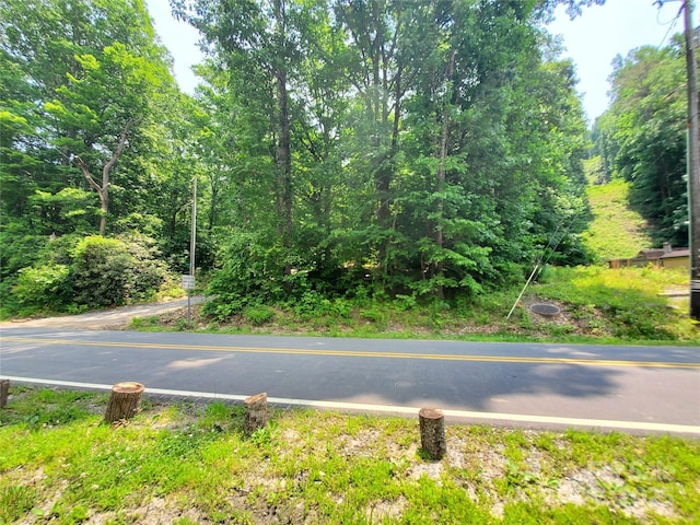 000 Green River Cove Rd, Saluda, NC 28773 - photo 5