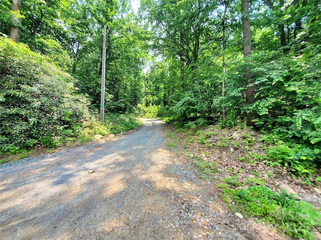 000 Green River Cove Rd, Saluda, NC 28773 - photo 6
