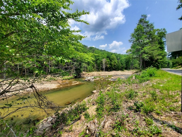 000 Green River Cove Rd, Saluda, NC 28773 - photo 7