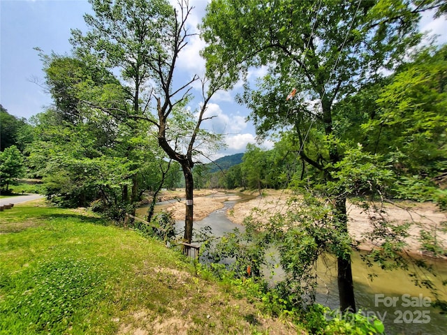 000 Green River Cove Rd, Saluda, NC 28773 - photo 8