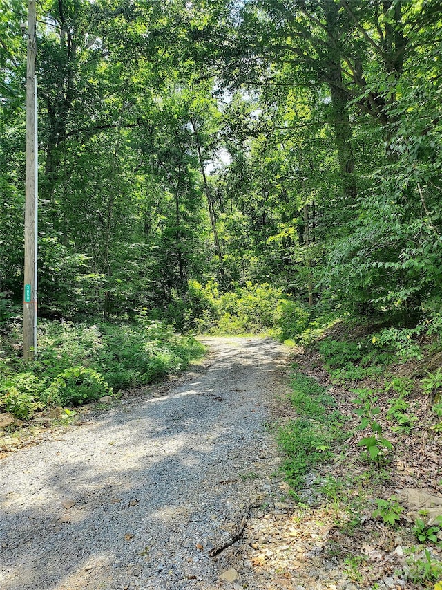 000 Green River Cove Rd, Saluda, NC 28773 - photo 12