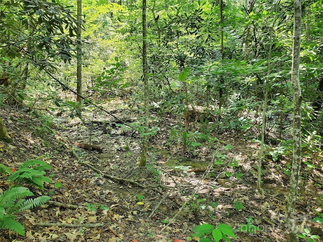 000 Green River Cove Rd, Saluda, NC 28773 - photo 13