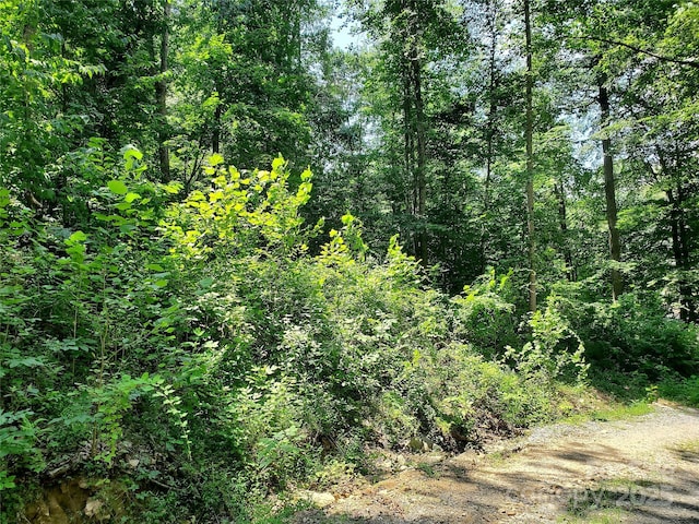 000 Green River Cove Rd, Saluda, NC 28773 - photo 14