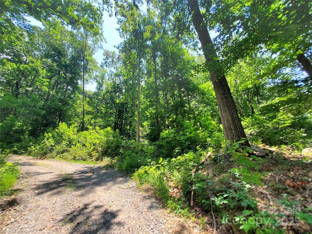 000 Green River Cove Rd, Saluda, NC 28773 - photo 15