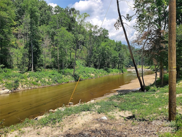 000 Green River Cove Rd, Saluda, NC 28773 - photo 16