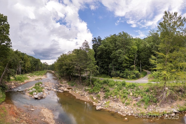 000 Green River Cove Rd, Saluda, NC 28773 - photo 17