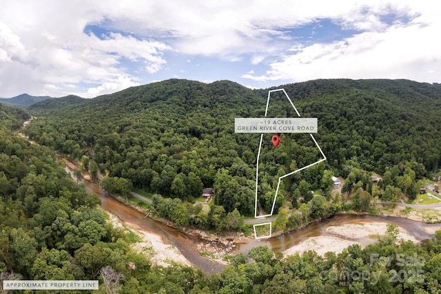 000 Green River Cove Rd, Saluda, NC 28773 - photo 19