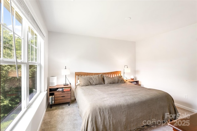 6507 Revolutionary Trl, Charlotte, NC 28217 - bedroom featuring carpet floors