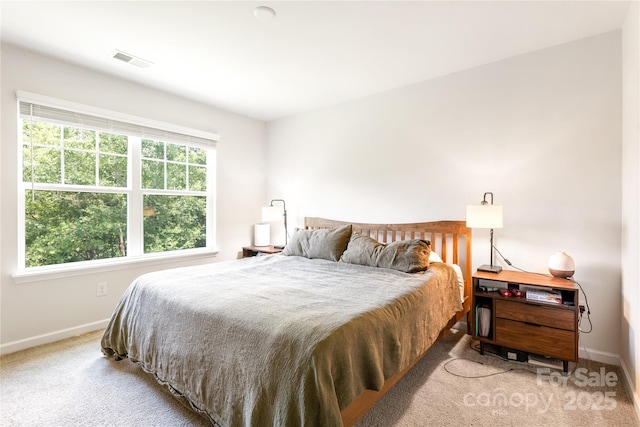 6507 Revolutionary Trl, Charlotte, NC 28217 - carpeted bedroom with baseboards