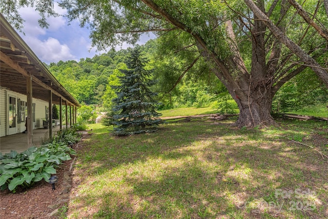 495 Courtney Ln, Canton, NC 28716 - photo 2