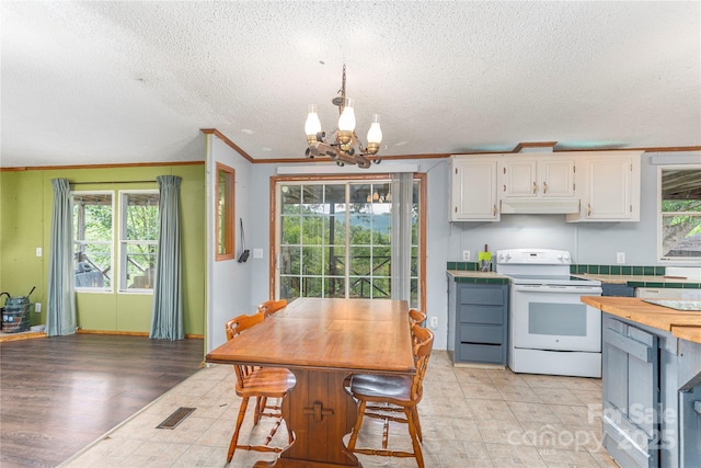 495 Courtney Ln, Canton, NC 28716 - photo 5