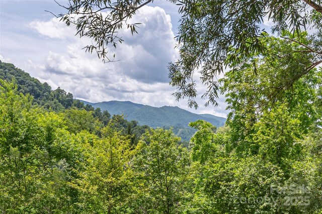 495 Courtney Ln, Canton, NC 28716 - photo 16