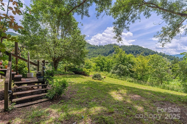 495 Courtney Ln, Canton, NC 28716 - photo 17