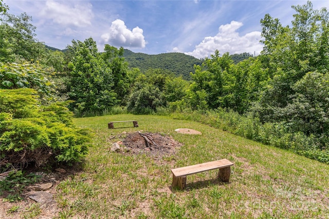 495 Courtney Ln, Canton, NC 28716 - photo 18