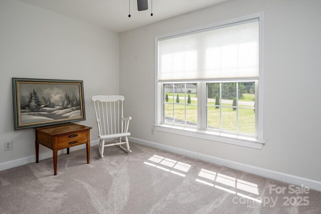 594 Patterson Farm Rd, Mooresville, NC 28115 - photo 42