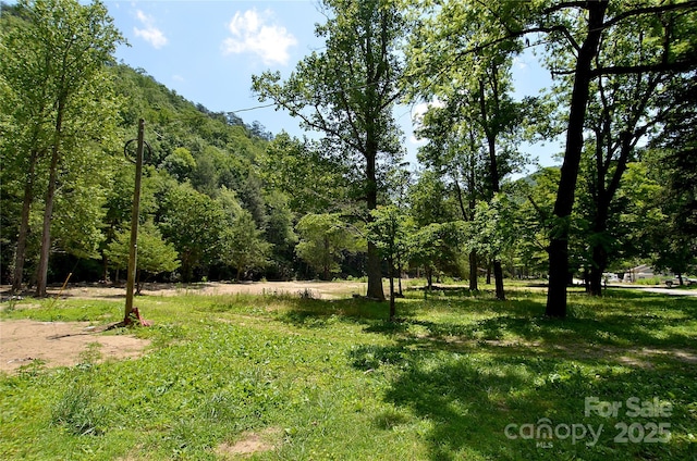 6780 Buck Creek Rd, Marion, NC 28752 - photo 1