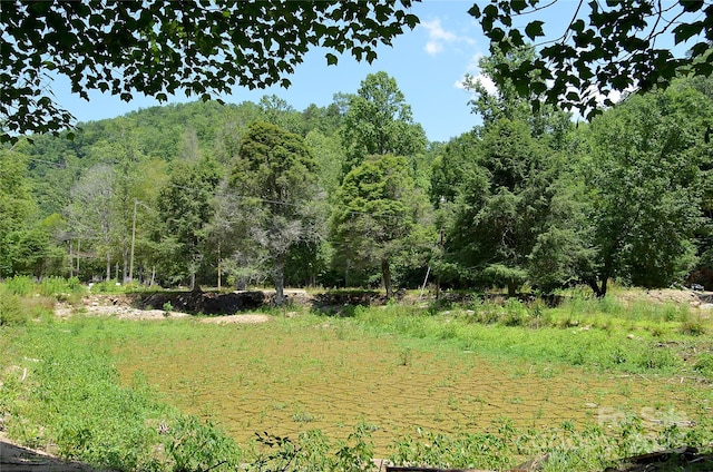 6780 Buck Creek Rd, Marion, NC 28752 - photo 2