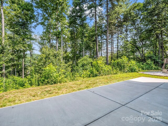 5717 Turnpike Rd, Horse Shoe, NC 28742 - photo 36