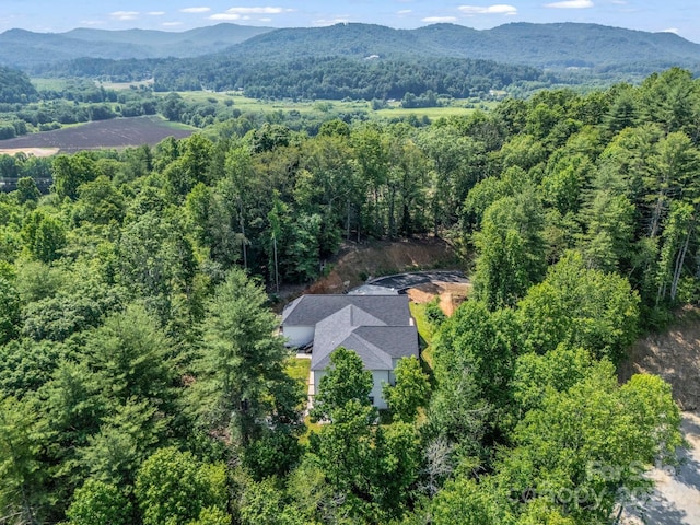 5717 Turnpike Rd, Horse Shoe, NC 28742 - photo 41