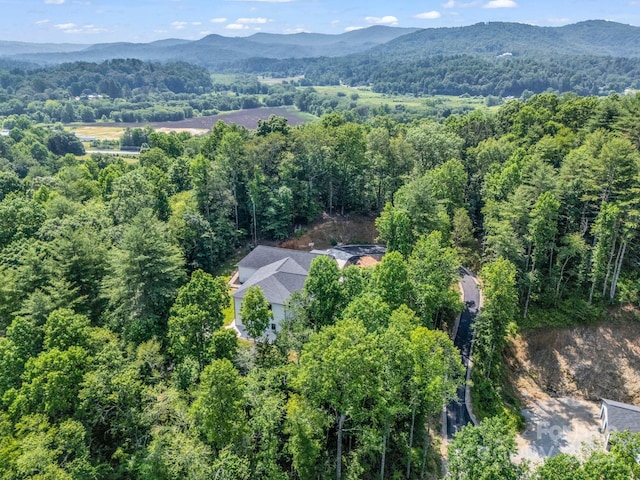 5717 Turnpike Rd, Horse Shoe, NC 28742 - photo 43