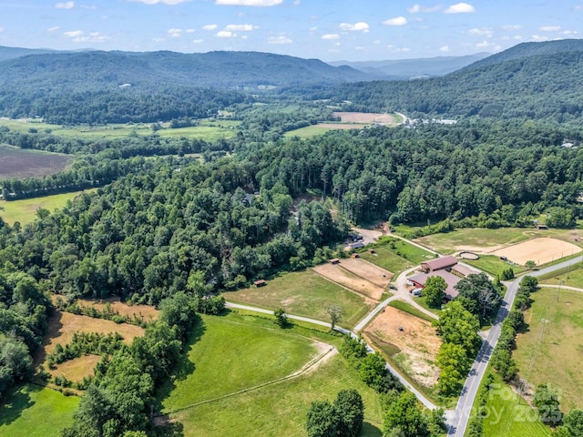 5717 Turnpike Rd, Horse Shoe, NC 28742 - photo 44