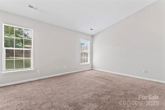 8724 Tweedsmuir Glen Ln, Charlotte, NC 28215 - empty room featuring carpet floors, healthy amount of natural light, and a textured ceiling