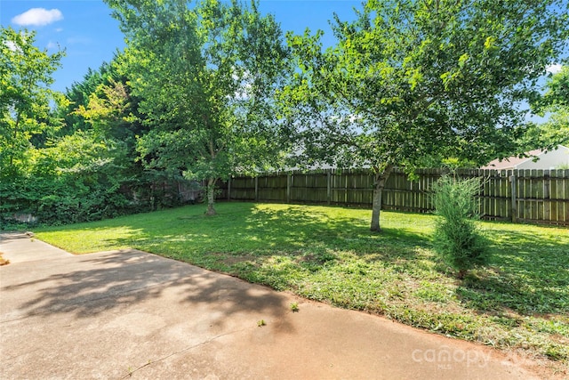 8724 Tweedsmuir Glen Ln, Charlotte, NC 28215 - fenced backyard with a patio
