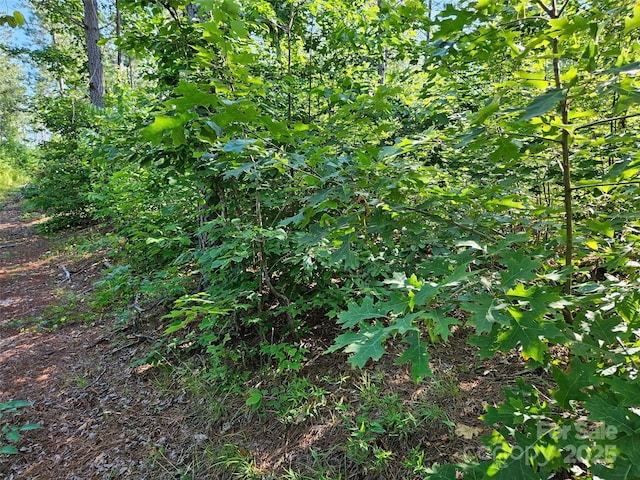 0 Bobby Mckinney Rd Unit 00, Union Mills, NC 28167