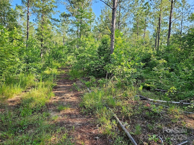 0 Bobby Mckinney Rd Unit 00, Union Mills, NC 28167