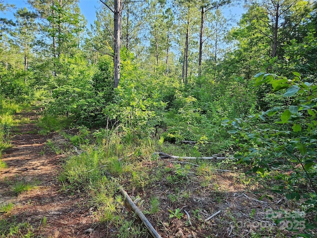 0 Bobby Mckinney Rd Unit 00, Union Mills, NC 28167