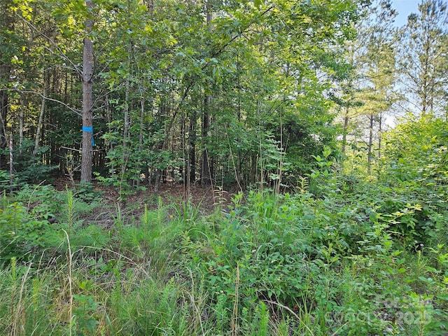 0 Bobby Mckinney Rd Unit 00, Union Mills, NC 28167