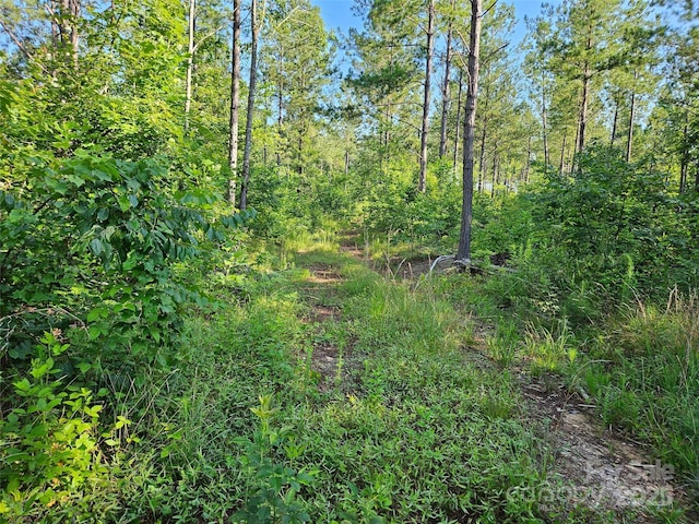 0 Bobby Mckinney Rd Unit 00, Union Mills, NC 28167